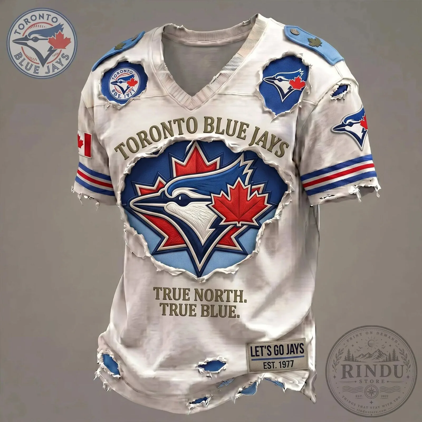 Toronto Blue Jays Shirt True North True Blue Baseball Jersey